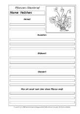 Pflanzensteckbriefvorlage-Veilchen-SW.pdf